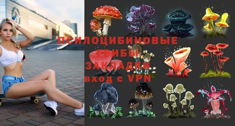 цены   Вольск  мега ссылки  Галлюциногенные грибы Psilocybe 